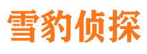 临沧市私家侦探